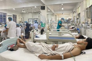 Dengue fever cases in Vietnam triple