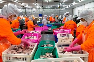 Pangasius export reaches over US$1.52 billion in first seven months