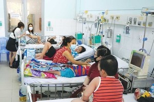 Health authority in HCMC issues RAP for treatment of dengue fever patients
