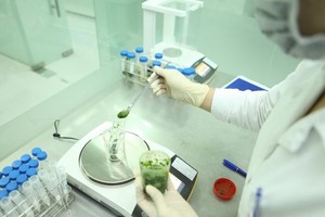 Food watchdogs should keep close watch on foodstuff on online