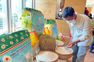 Loc Troi exports over 400,000 tons of rice to European supermarkets