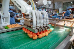 Enterprises look to accelerate as end of year approaches