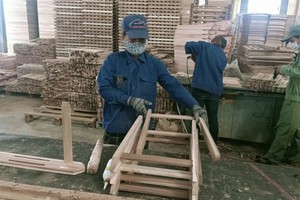 China tends to buy Thai agricultural product as cheaper than Vietnam