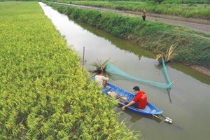 Farmers moan about galloping cost of agricultural materials