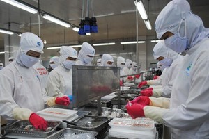 Ca Mau, Soc Trang post high export revenue