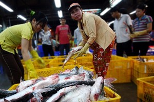 Volume of goods in Binh Dien market increase by 35 percent ahead of Tet