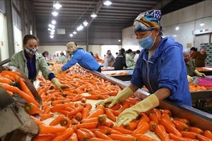 Vietnam expects more markets to open to farm produce in 2023 