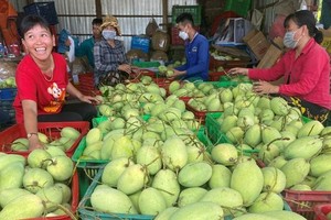 Traders accelerate purchases of Vietnamese farm goods for export to China 