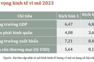 Vietnam’s growth likely to reach 6.47 percent 