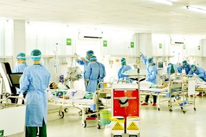 WHO recommends preventative measures during Tet holiday