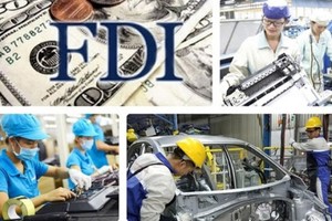 Ministry assesses profit and loss of FDI enterprises