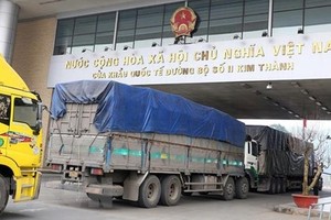 Exporters of medicine herbs must register before selling to Chinese market