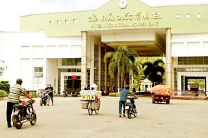 Vietnam tightens sales of poultry in border crossings