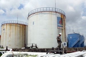 Vietnam needs funds to increase national petroleum reserve 