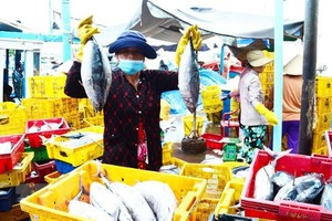 Tuna exporters aiming for smaller markets 