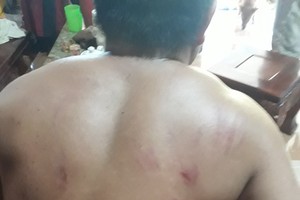 Wild elephant attacks local man in Dong Nai Province