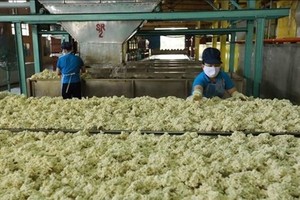 Rubber industry needs better grip on competitiveness in int’l market