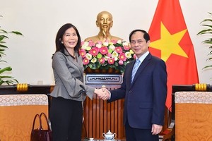 Vietnam calls for UN organisations’ cooperation in priortised areas: FM