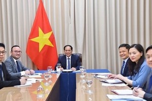 Vietnam, Mozambique step up multifaceted cooperation