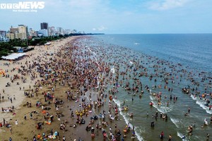 Thanh Hoa, Japan orient to green growth and sustainable development 