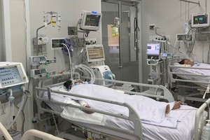 Vietnam seeks WHO’s assistance for supply of botulism antitoxin 