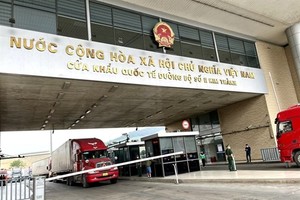 Farmers look to capitalise on increased agricultural product exports to China