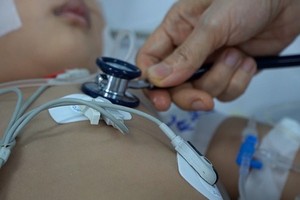 Hand, foot and mouth disease responsible for three deaths in Vietnam