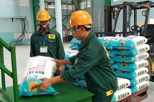 Zero export tariff for DAP and NPK to be applicable from July