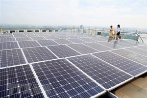 Vietnam prioritises green transition for sustainable development: workshop