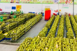 Ministry collects opinions for development of agricultural sector 