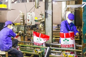 Fertiliser prices fall, firms to expand exports