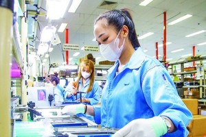 HCMC collects over US$9 billion for budget revenue