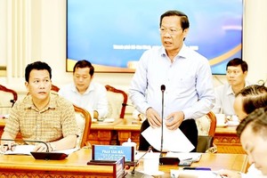 HCMC makes efforts to solve land-related problems