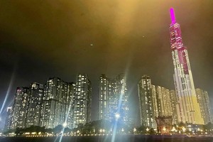 ADB commits to accompanying Vietnam's development: country director