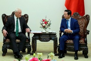 Vietnam wants to learn UK's experience in renewable energy development 