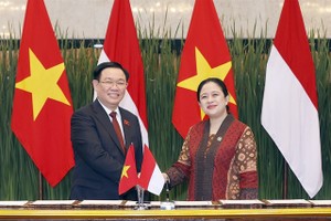 NA chairman Hue, Indonesian House speaker Maharani hold official talks