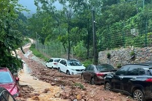 Chairpersons to be held accountability to PM for live loss: PM’s dispatch