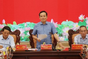 Deputy PM urges Mekong Delta provinces to implement national target program