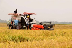 Ministry proposes to stabilize rice prices domestically