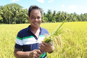 Farmers' Union fosters farmers to become cooperatives directors