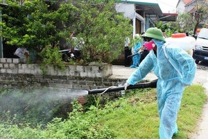 Hanoi sees more cases of dengue