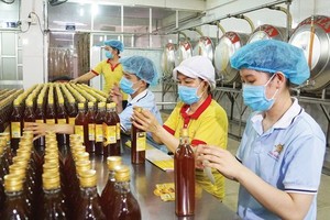 PM asks to facilitate businesses and residents to access credit 