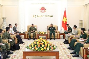 Vietnam, Japan promote partnership in UN peacekeeping operations