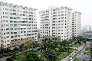 Difficulties motivate businesses to develop projects to meet people’s needs 