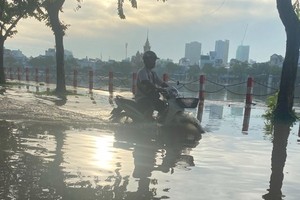 Mekong Delta flooded by heavy rains, orchards and houses submerged 