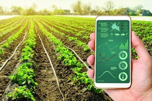 Efforts made to promote digital transformation in agriculture 