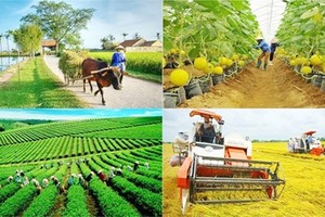 More special mechanisms proposed to speed up national target programs