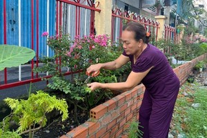 HCMC dwellers’ awareness of green space raised