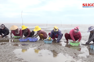 ASC certificate awarded to clam farming in Tien Giang Province 