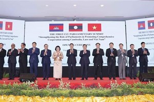 Vietnam values friendship, solidarity with Cambodia, Laos: NA Chairman 